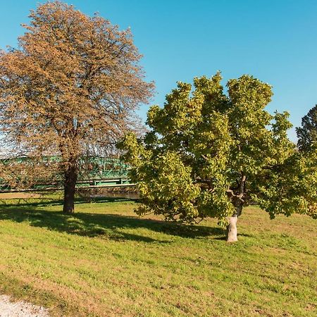 Halaszcsarda-Panzio Otel Körmend Dış mekan fotoğraf