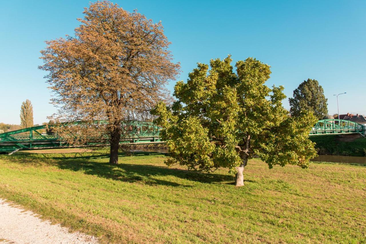 Halaszcsarda-Panzio Otel Körmend Dış mekan fotoğraf